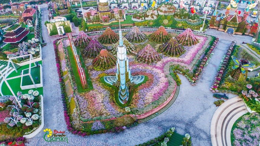 65[-]triệu[-]bông[-]hoa[-]rực[-]rỡ[-]giữa[-]Dubai[-]khô[-]cằn